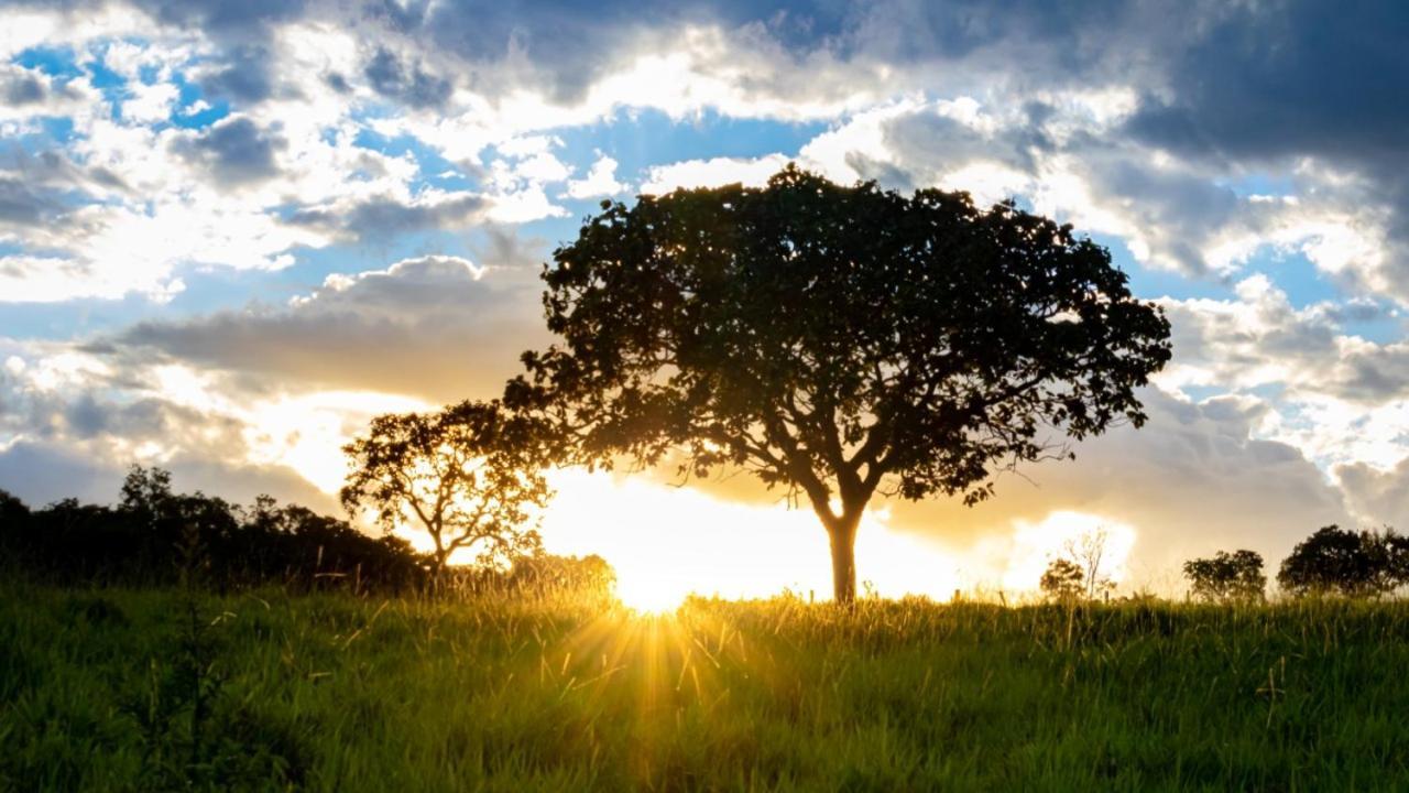 Fazenda Taruma Pirenópolis Eksteriør bilde